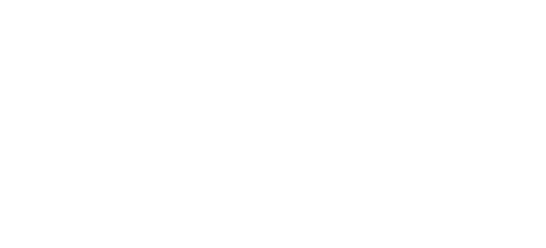 Supreme Security Logo White